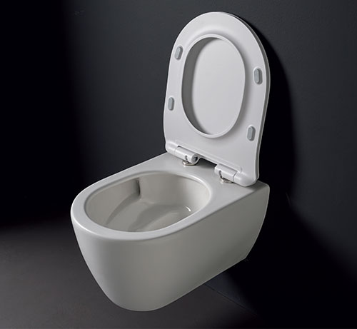 commode toilet 